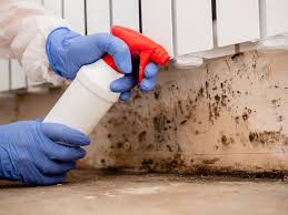 Why You Should Choose Our Mold Remediation Services in West Valley City, UT